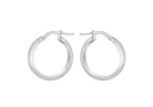 White Gold Earrings