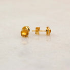 Fine Treasures Citrine Stud Earrings - Regarde Jewellers